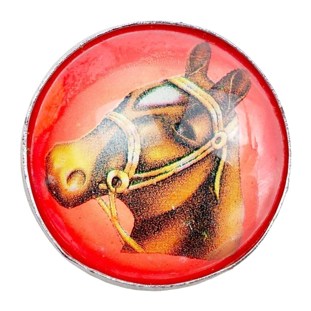 Vintage Bridel Rosette Domed Horse Brass Glass​